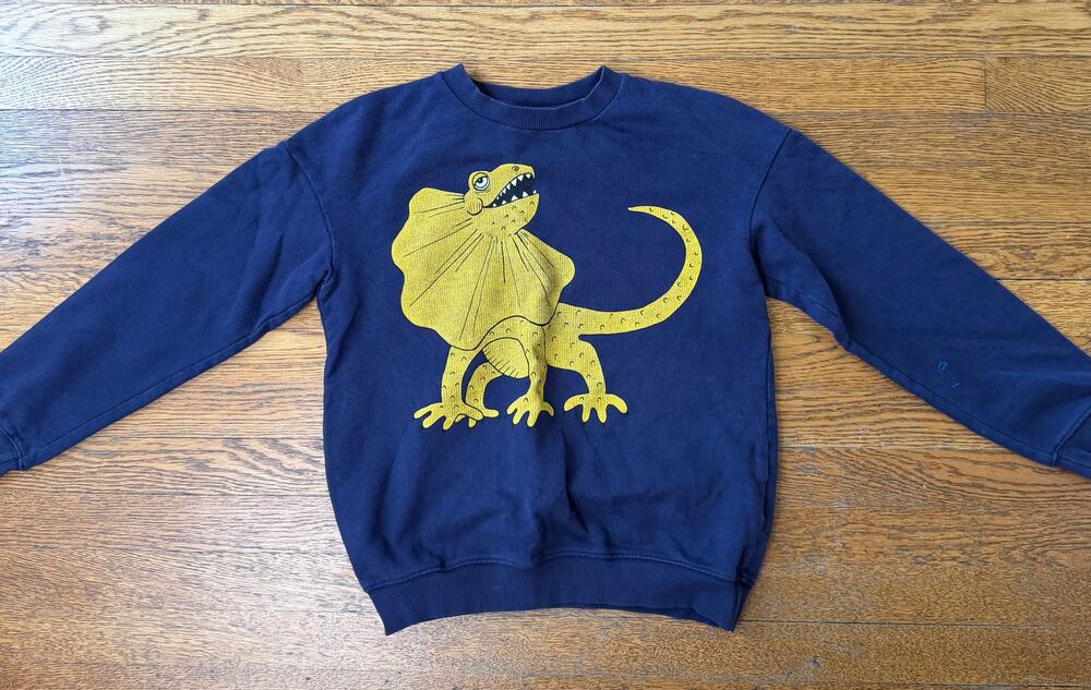 Mini Rodini Kids' Bearded Dragon Sweatshirt Size 10-11